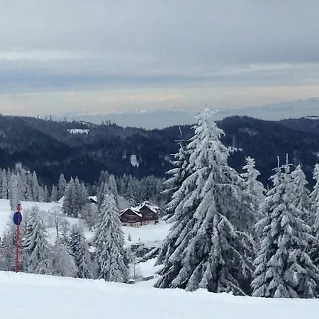 Gasthof Pop-up Stuub Bierhäusle Feldberg *