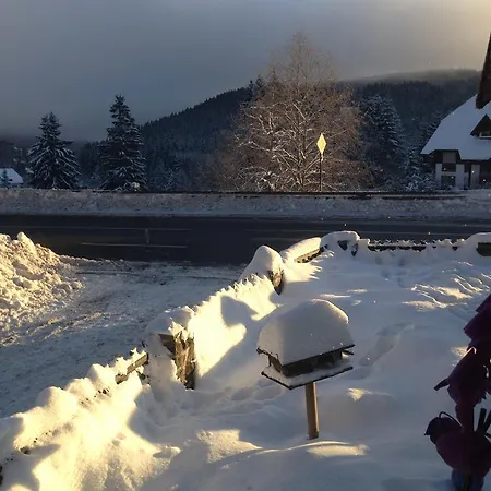 Gasthof Pop-up Stuub Bierhäusle Feldberg *